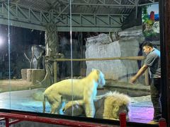 -清迈夜间动物园