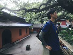 -普陀山风景名胜区-法雨禅寺