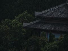 -龙口南山旅游景区
