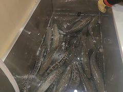 -黑鱼郭我家酸菜鱼(摩尔广场店)