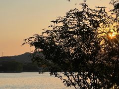 -济南国际园博园