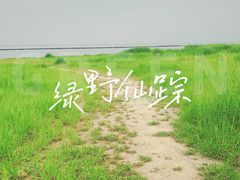 -合肥滨湖国家森林公园