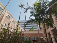 -香港大学