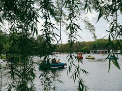 -上海共青森林公园