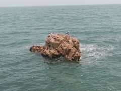 -长岛南北长山旅游景区