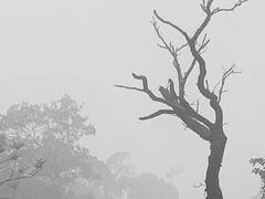 -藏龙百瀑风景区