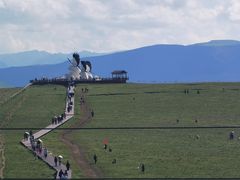 -郭莽湿地