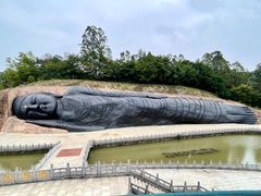 -三水森林公园