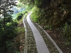 -龙井村