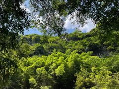 -华蓥山天意谷景区