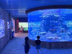 -左海海底世界