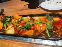 -雀舞云南菜(乐客城店)