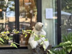 -BOCATA 西班牙餐厅(三里屯店)