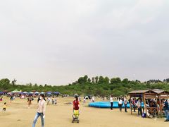-秀丽东方