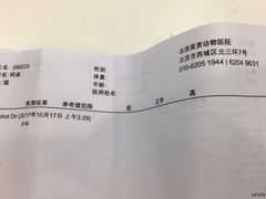 -北京观赏动物医院·24小时大型综合·猫专科·异宠专科