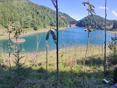 -武陵山森林公园