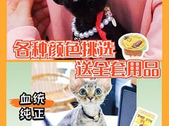 -十年猫舍·猫咪专门店(普陀店)
