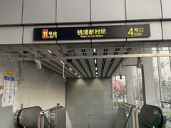 -桃浦新村(地铁站)