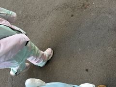 -哈尔滨热雪奇迹