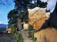 -杨家堂村