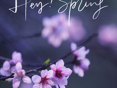 -贡湖湾湿地公园