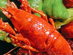 -沪小胖·小龙虾·蓝龙王(八佰伴店)