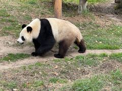 -宁波野生动物园