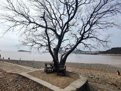 -平湖九龙山旅游度假区