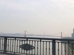 -刘胖子家常菜·蹄花焖藕(中南店)