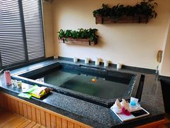 -春晖园度假酒店温泉