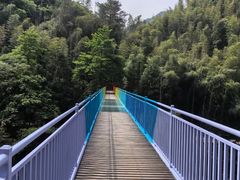 -水墨汀溪风景区
