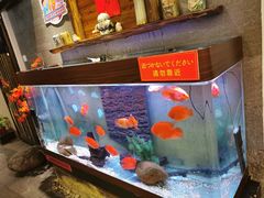 -天狗山料理(省体店)