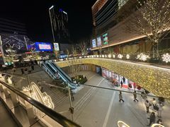 -中集金地美兰城