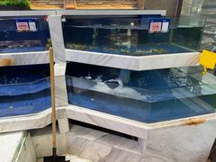 -海景苑海鲜大酒店(吕四店)