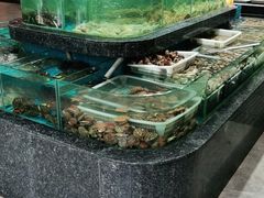 水产区-渔码头食府(蓬莱阁店)