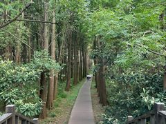 -同里国家湿地公园