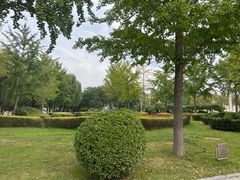 -西清公园
