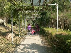 -牛鱼嘴原始生态风景区