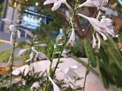 -灵玲国际马戏城