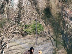 -泰州凤城河风景区-泰山公园