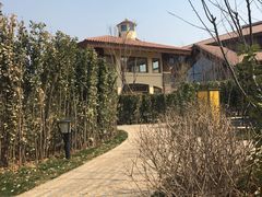 -大连金石滩绿发温泉假日酒店