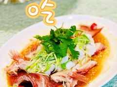 油香葱捞海星斑-北园酒家(小北路店)