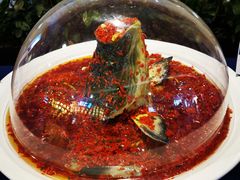 -坛宗剁椒鱼头(河西王府井店)