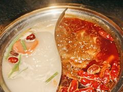 -熊喵来了火锅·牧场好肉(邯郸邯山万达店)
