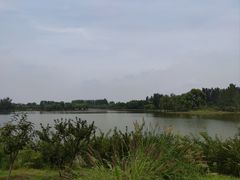 -东郊湿地公园