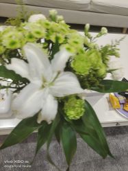 -HEYAN长风荷妍专业脱毛美肤
