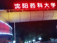 -沈阳药科大学