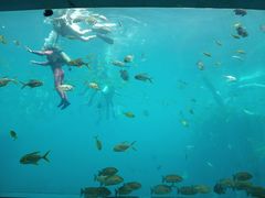 -瑞德姆美人鱼海底演艺主题餐厅(亚龙湾店)