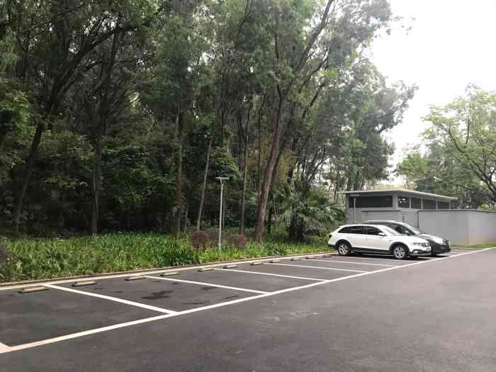 天河公园-停车场-"春暖花开,冬去春来满园生机,虽是接近4月.