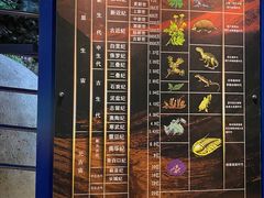 -河南自然博物馆
